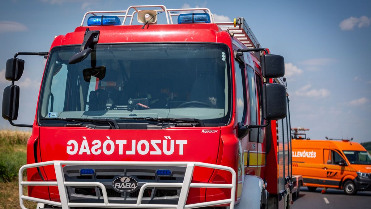 Vadat gázolt egy autó a 76-oson szerda éjjel