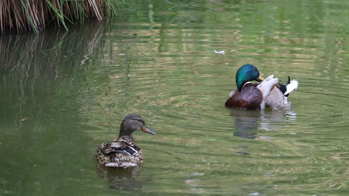 Marad a napos idő – de a 30 fok közeli hőmérséklettel ne csábítson könnyelműségre