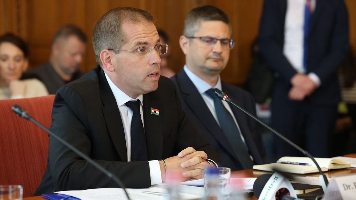 Az elszámoltatással fenyegetőzött meghallgatásán Ruff Bálint