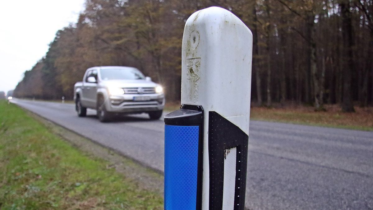 Az őz az erdőben – vagy a kondérban – jó, nem az autópályán!  Az M7-esen mégis balesetet okozott egy állat