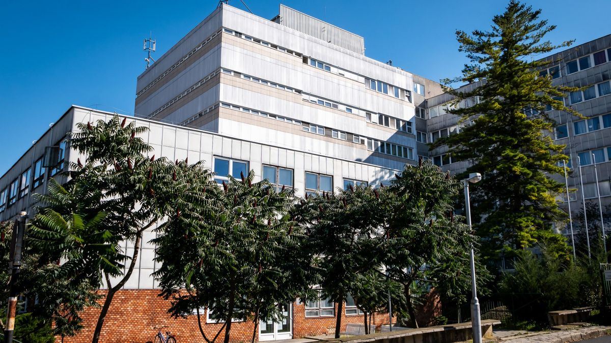 Sokkoló diagnózis: térdfájással vitték orvoshoz az 5 éves Mátét, most az életéért küzd a pécsi klinikán