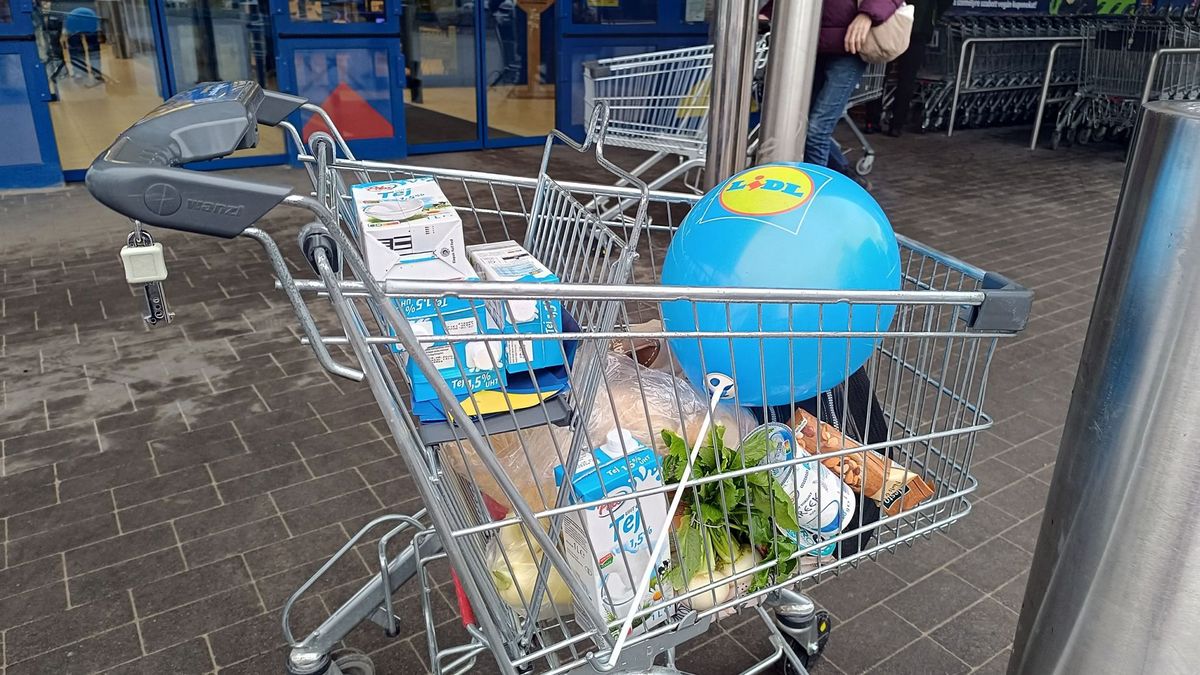 Többé nem kell bevásárlókocsival küzdened a sorok között: eg