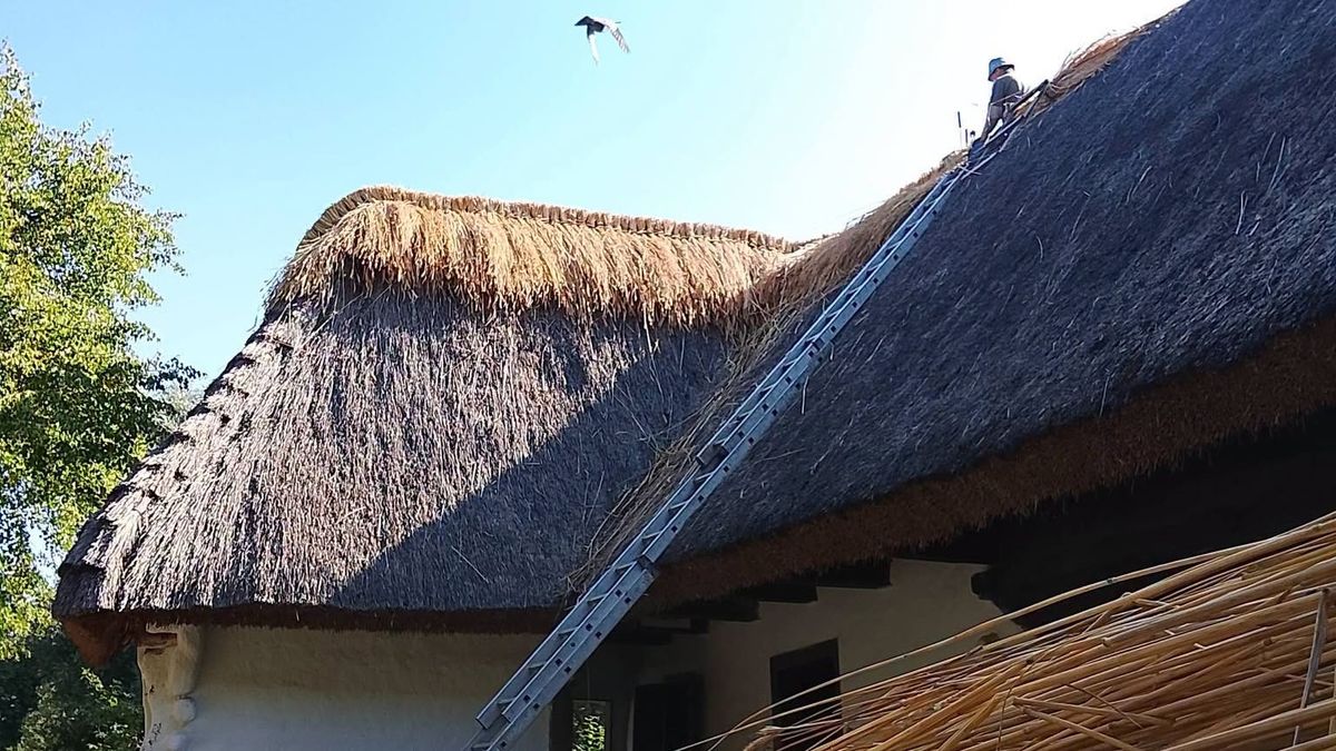 Zsúptetőt újítanak fel a Göcseji Skanzenben – te is kipróbálhatod ezt a különleges mesterséget!