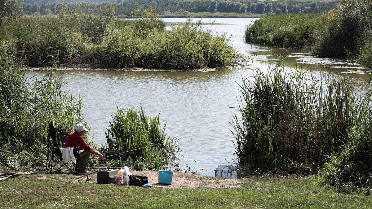 Rejtett természeti csoda Zalában: ezért különleges a Kis-Balaton (galéria)