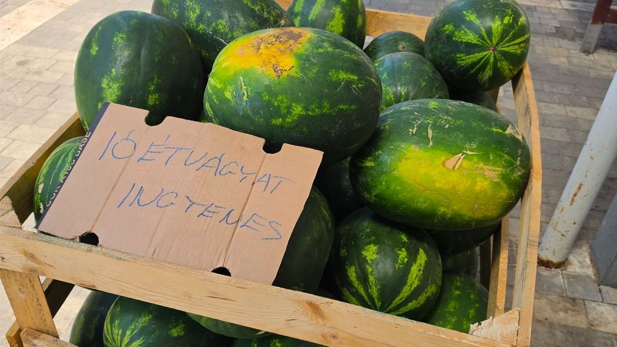 Szinte hihetetlen gesztus manapság: ingyenesen kínálták a dinnyét ezen a zalai piacon!