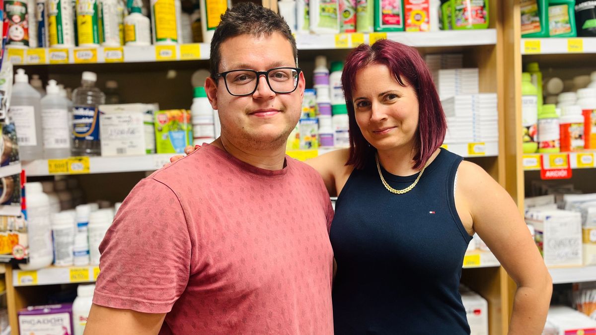 Te tudod, mit csinálj a kerekrépával? Zalában megtudtuk, mi mindenre jó ez a növény