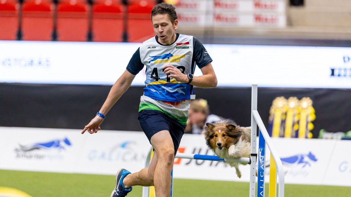 Egy hobbinak indult, világbajnokság lett belőle – a zalai Mangó és gazdája kalandjai az agility pályákon