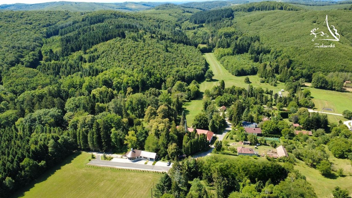 Gyönyörű kirándulóhely Zalában, ahol különleges élő gyűjtemény vár