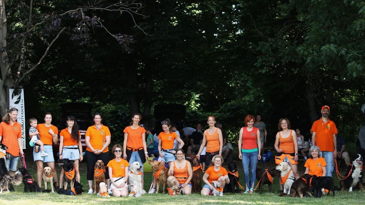 Sok segítő kutya él Zalában – augusztus negyedikén az ő világnapjukat ünnepelték