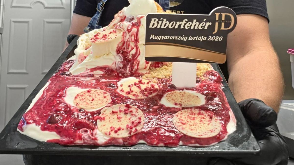 Bíborfehér: az év zalai cukrásza alkotta meg Magyarország Tortáját fagylaltban – Nem csak Nagykanizsán kapható!
