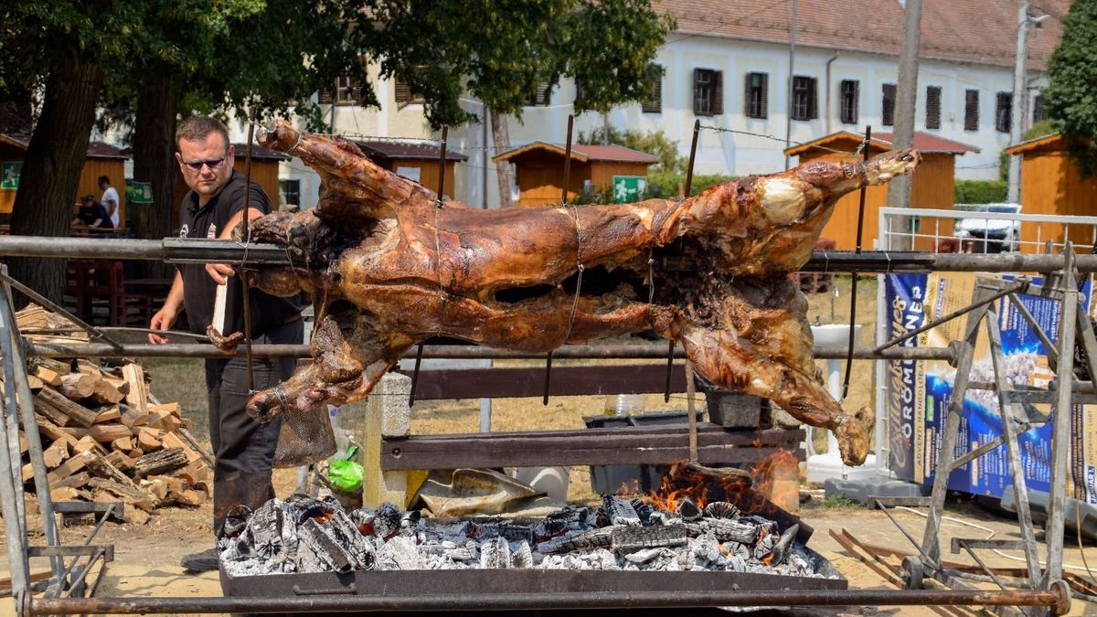 Ilyen látványosság még nem volt Zalaszentgróton – 40 év tapasztalata kellett a különös lakomához
