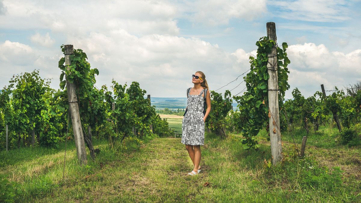 A hőség átírta a balatoni nyarakat, Zalában is új szokások terjednek