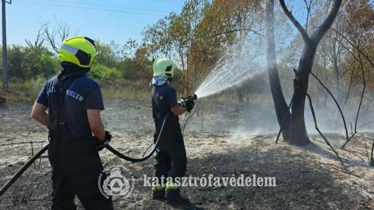 Másfél hektáros tarló égett Iharosberényben – az oltásban zalai tűzoltók is részt vettek (galéria)
