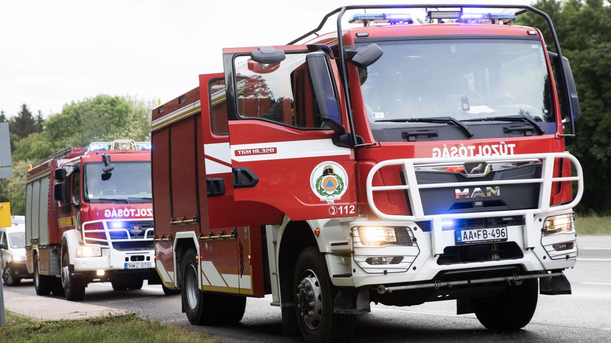 Lángra kapott a száraz aljnövényzet, tűzoltók érkeztek a helyszínre