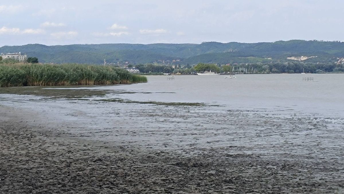 Tényleg a Balatonba ürített valaki? A polgármester szerint nem ez történt, mutatjuk, mikor nyithat újra a Helikon strand