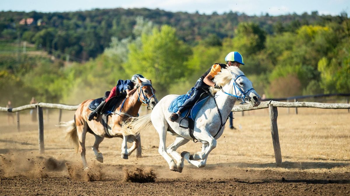 17. Festetics Vágta: izgalmas futamok után eldőlt, kik jutottak tovább Szilvásváradra