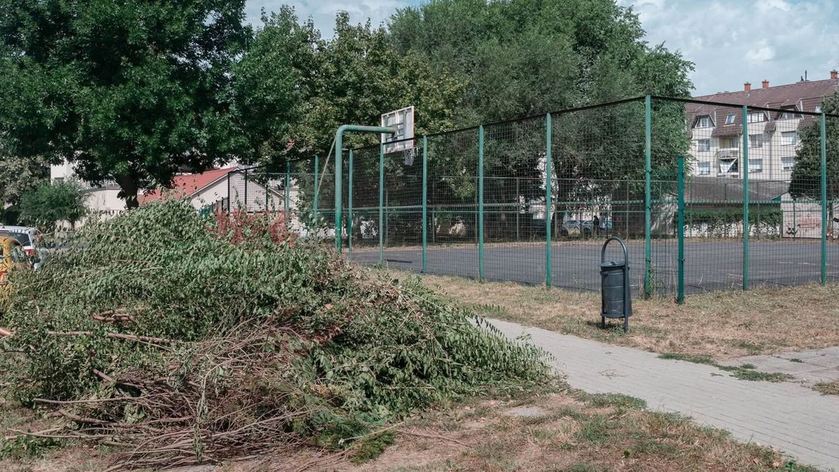 Rongálások és balesetveszély: azonnali intézkedések a Vizslaparkban és Olában