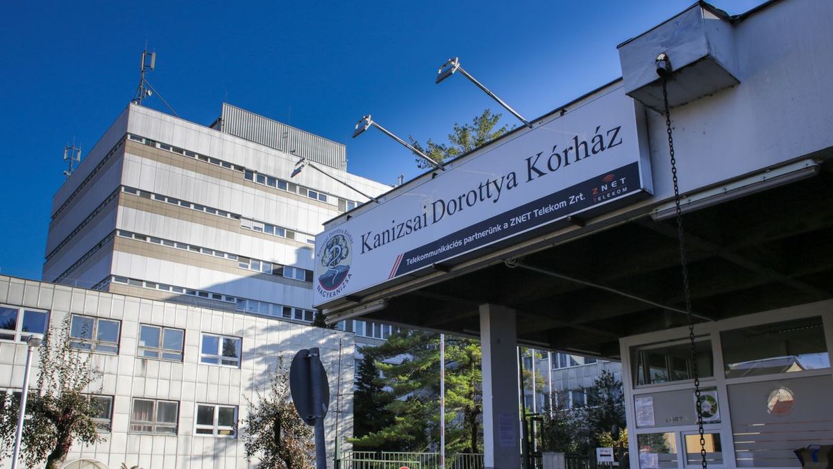 Ingyen mozi és Rudolf Péter Nagykanizsán – a kórház is nyer vele