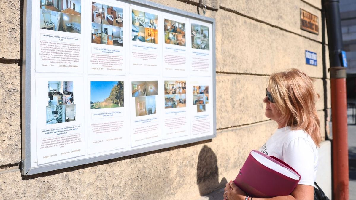 Most érdemes albérletet keresni? Az árak még nem ugrottak meg, de gyorsan fogyhatnak a jó lakások