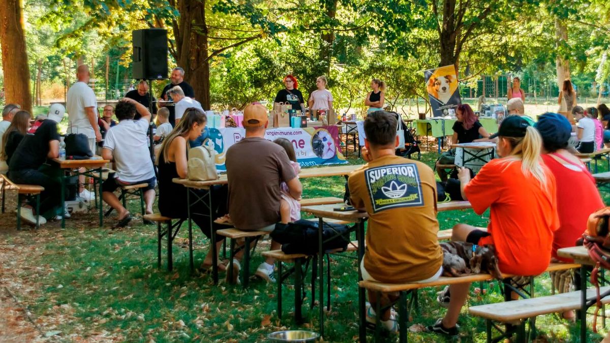 300 ezer forint gyűlt össze Keszthelyen az állatokért, különleges programokkal várták a családokat