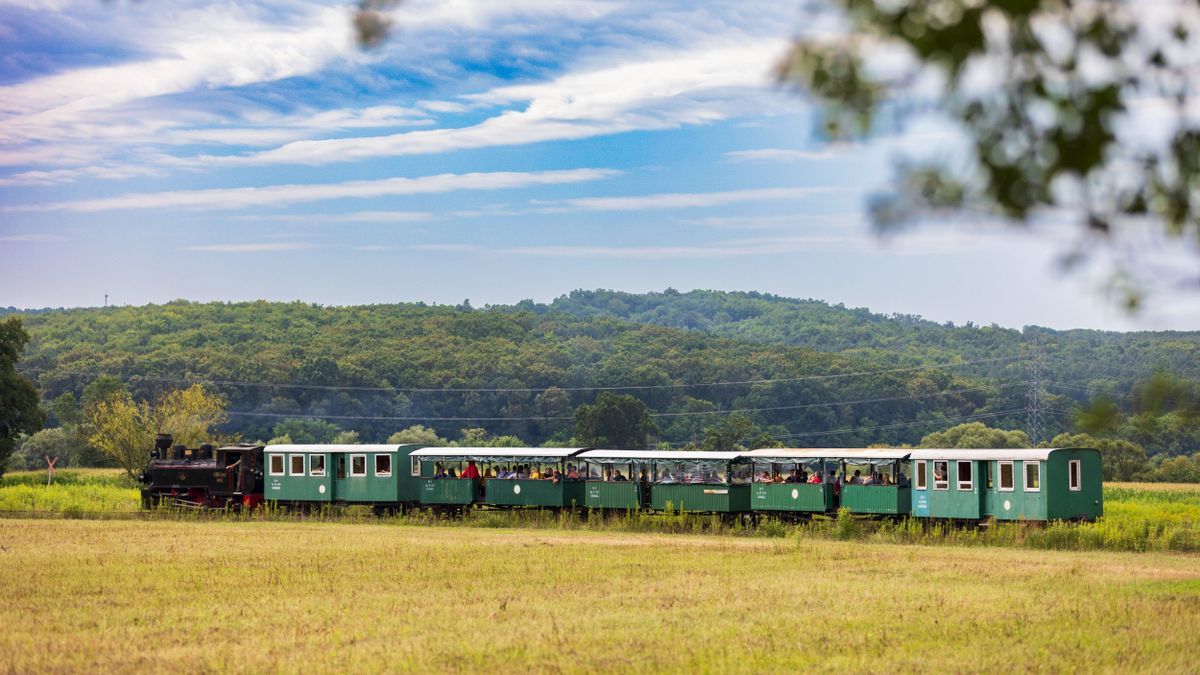 Már nem sokáig zakatol a kisvonat – nagy változás jön a zalai erdei vasútnál