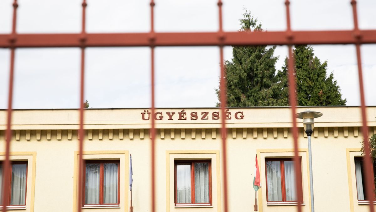 Kitalálták, hogyan szereznek ingyen telefont, még hamis papírokat is gyártottak hozzá
