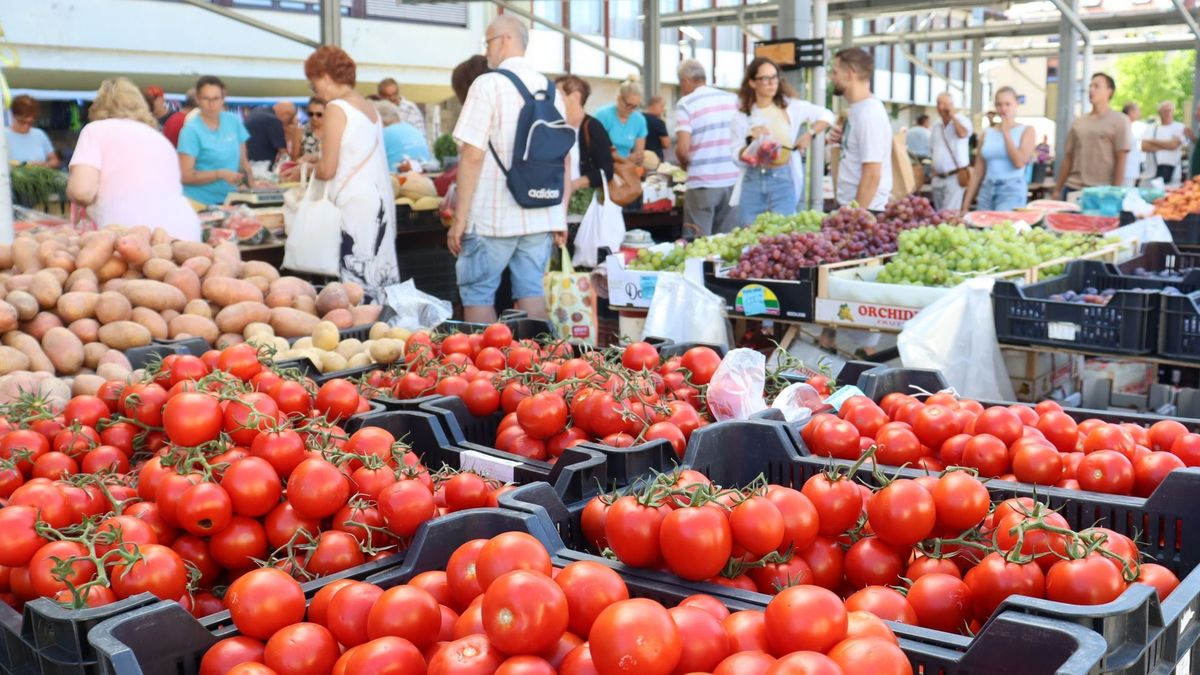 Lecsóparti, kóstolók és kedvezmények: szombaton jön a Nyitott Piacok Napja Zalaegerszegen