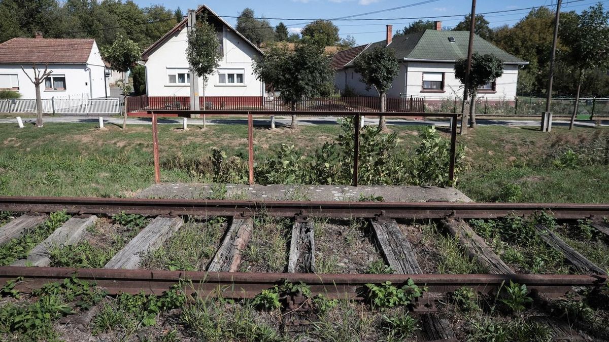 17 éve ment el az utolsó vonat – mára szinte elnyelte a természet a zalai vasútvonalat