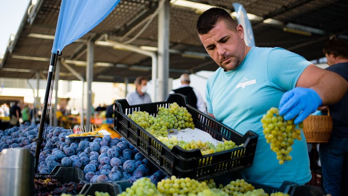 Eltűnt a dinnye, átvette helyét a szőlő és a szilva – nagyot fordult a kínálat a zalaegerszegi piacon