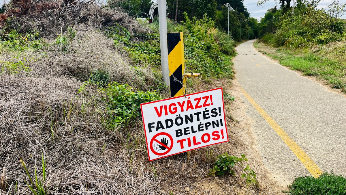 Fák tűntek el a zalaszentiváni kerékpárút mellől – most jobb elkerülni ezt a szakaszt!