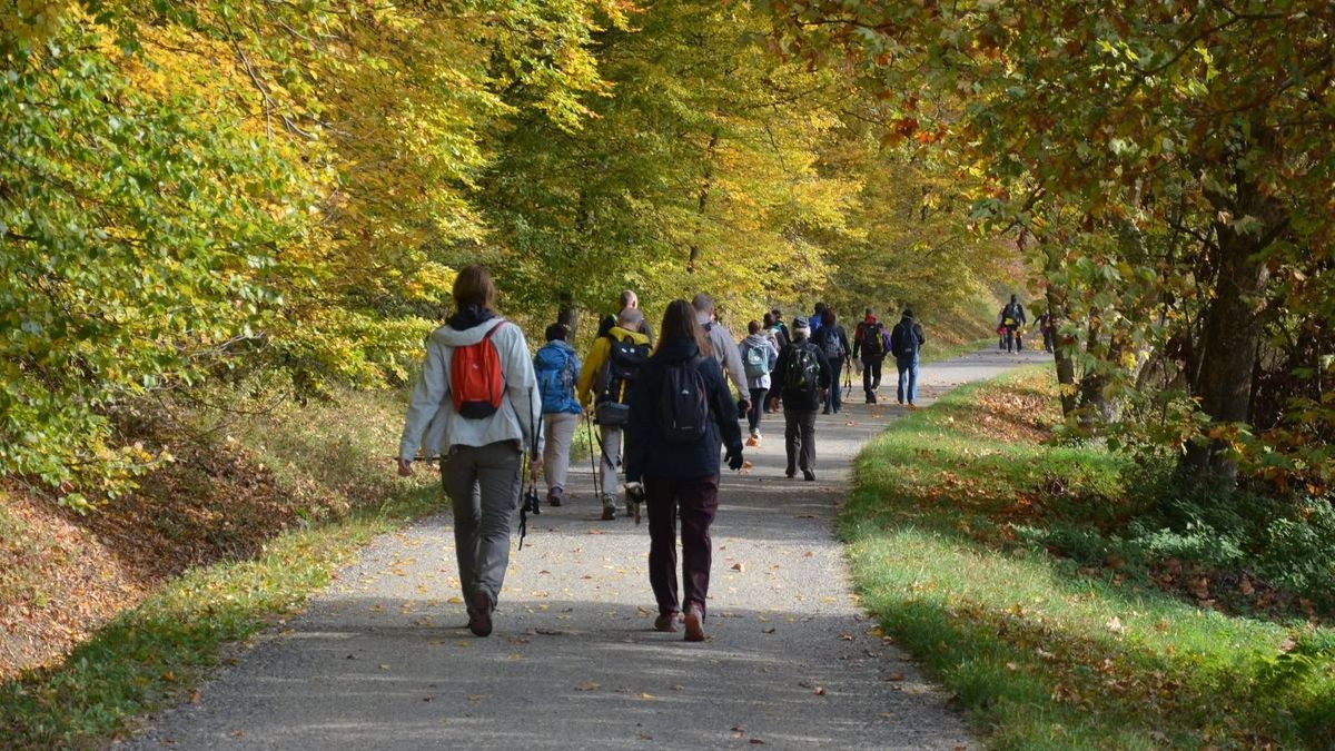 Ezt a zalai túrát 20 éve nem lehet megunni – idén különleges útvonalon indulnak