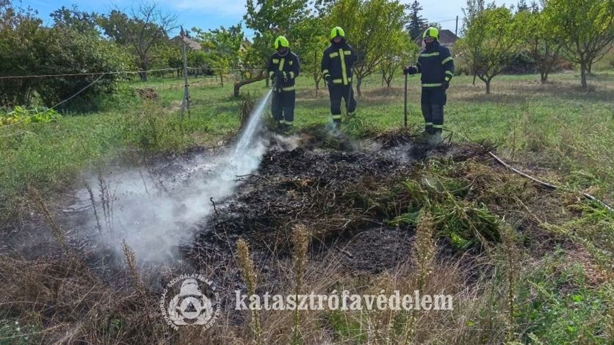 Ötezer négyzetméteren égett az aljnövényzet Vindornyafokon, idős embernek segítettek a tűzoltók Nagykanizsán