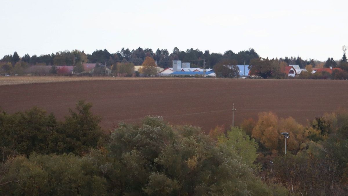 Nem pusztán egy rossz szezon – összetett válság fojtogatja a zalai gazdákat
