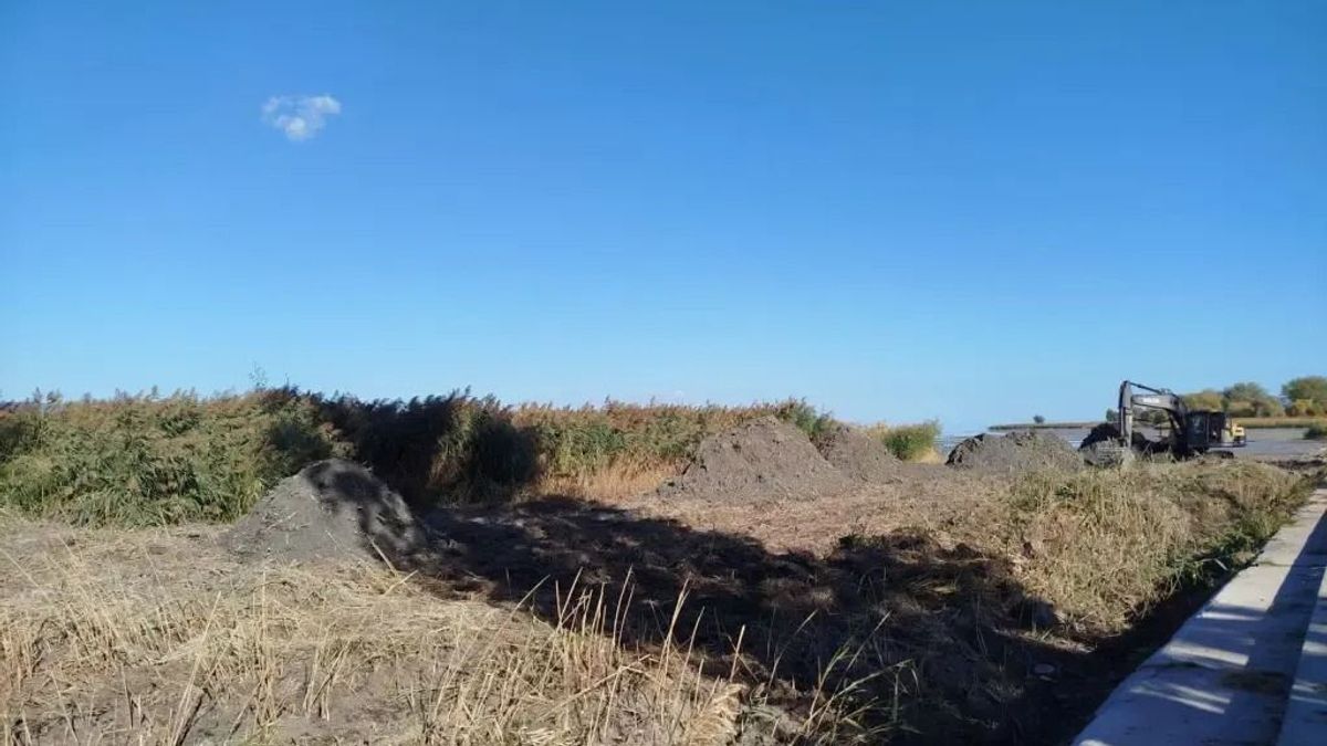 A Balaton medrében tarolt a munkagép, rendőrségi ügy lett belőle