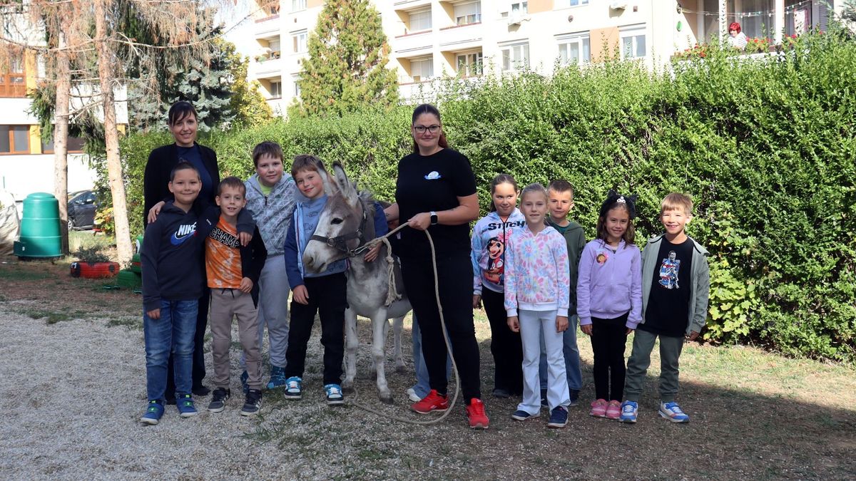 Állati jó nap az Eötvös-iskolában: megérkezett Sanyi, a csacsi, és adományt is gyűjtöttek