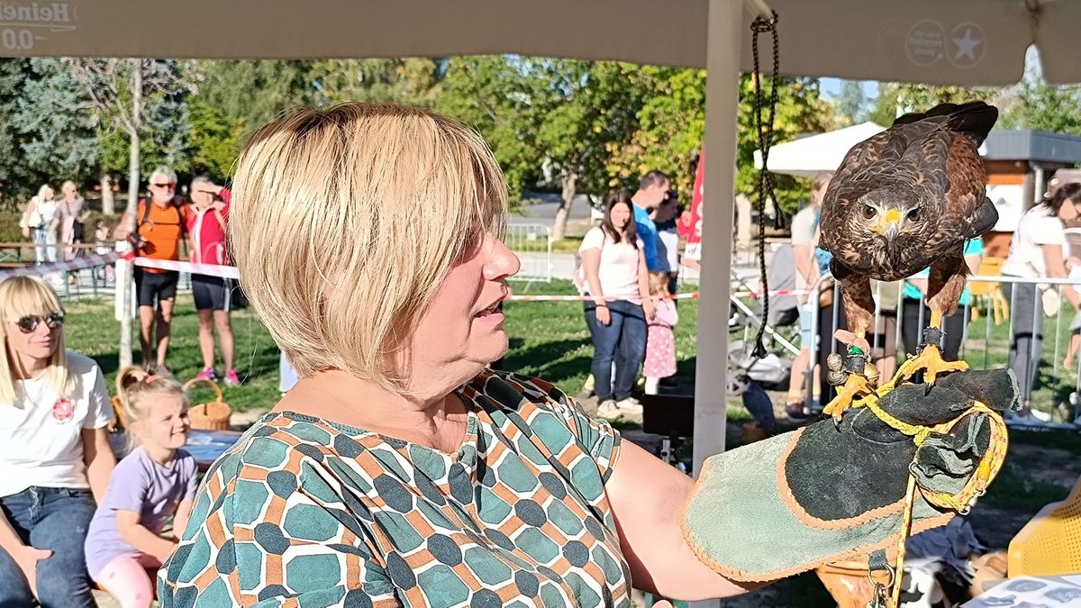 Állati jó nap! Kutyák, sólymok és alpakák is szeretetre és felelősségre tanítottak (galéria)